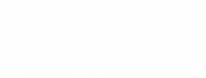 Logo Vallitech (Negativo)